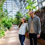 E_GRO15_Palm-young-couple-awestruck-by-palms
