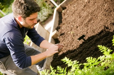 Planting Seeds in Demo Garden