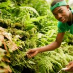 teen docent urban roots