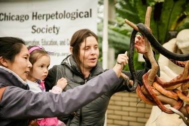 family touching snakes