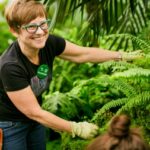 volunteer in fern room