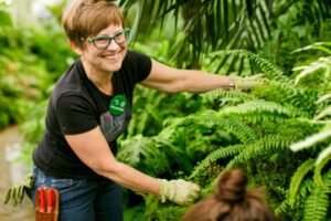 volunteer in fern room