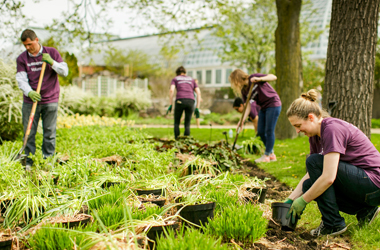 group planting outside