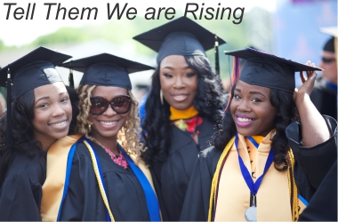 Best of Black Harvest Film Fest Tell Them We Are Rising Film