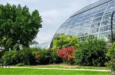 Photo of the outside of the Conservatory and trees on a sunny day