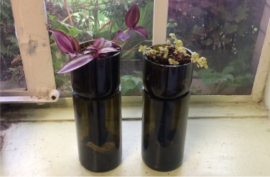 DIY Self Watering Wine Bottle Class