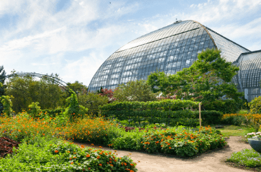 a photo of the outside of the conservatory. Many green plants and orange flowers.
